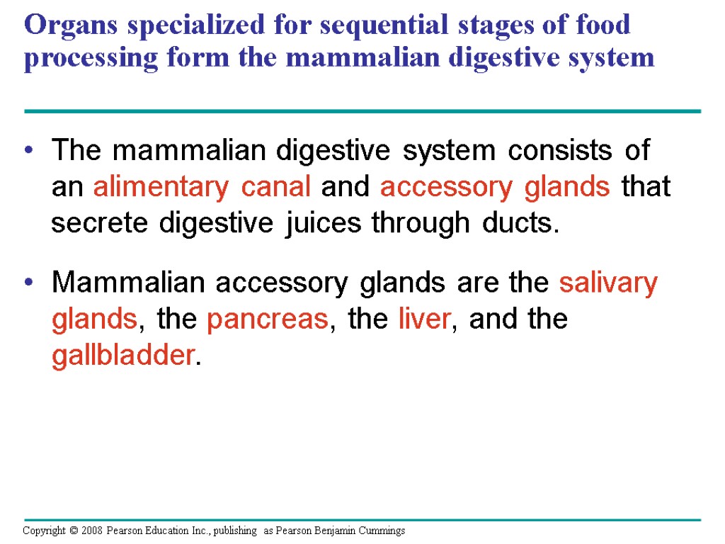 Organs specialized for sequential stages of food processing form the mammalian digestive system The